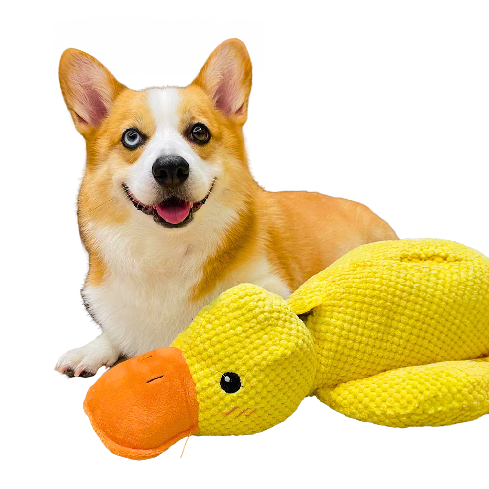 Dog Toy Plush Duck Mental Stimulation