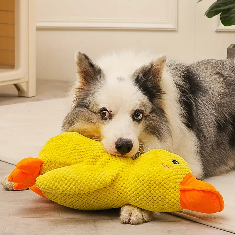 Dog Toy Plush Duck Mental Stimulation