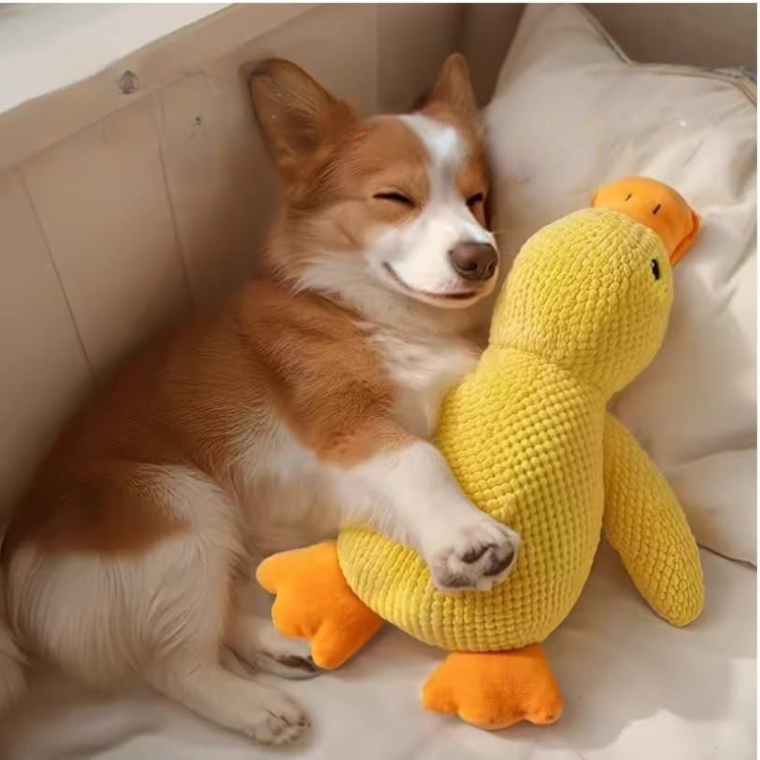 Dog Toy Plush Duck Mental Stimulation