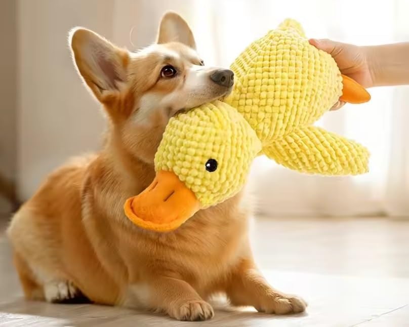 Dog Toy Plush Duck Mental Stimulation